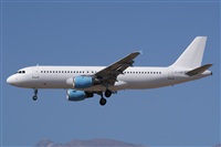 Saimon J Rodriguez   -   Canary Islands Spotting. Haz click para ampliar