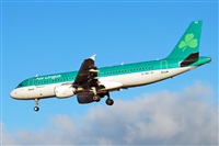 J. Victor Vega-Gran Canaria Spotters. Click to see full size photo