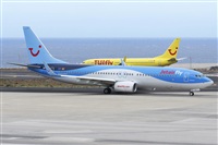Saimon J Rodriguez   -   Canary Islands Spotting. Click to see full size photo