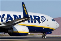 Saimon J Rodriguez   -   Canary Islands Spotting. Click to see full size photo
