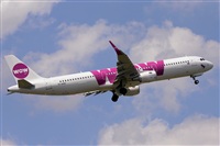 Miguel A. gueda Rguez.  (CANARY ISLANDS SPOTTING). Click to see full size photo