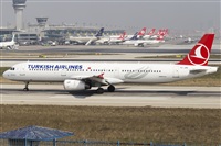 Rubn Gil - Noisy Spotters. Click to see full size photo