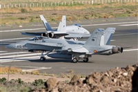 ©Adolfo Bento - Gran Canaria Spotters. Click to see full size photo ©Adolfo Bento - Gran Canaria Spotters. Click to see full size photo