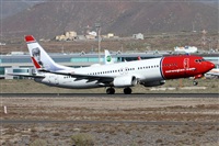 ©Alfonso Solís - Asociación Canary Islands Spotting. Click to see full size photo ©Alfonso Solís - Asociación Canary Islands Spotting. Click to see full size photo
