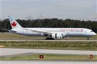 Rubn Gil - Noisy Spotters. Click to see full size photo