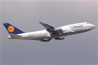 Miguel A. gueda Rguez.  (CANARY ISLANDS SPOTTING). Click to see full size photo