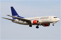 Alfonso Sols - Asociacin Canary Islands Spotting. Click to see full size photo