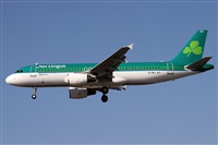 Alfonso Sols - Asociacin Canary Islands Spotting. Click to see full size photo