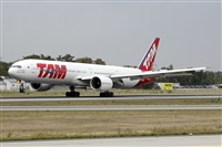 Adrin Alonso Lemes - Lanzarote Spotters. Click to see full size photo