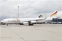 Rubn Gil - Noisy Spotters. Click to see full size photo