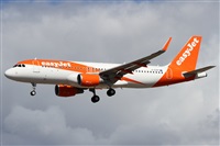 Alfonso Sols - Asociacin Canary Islands Spotting. Haz click para ampliar