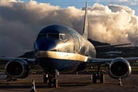 Javier de la Cruz - CANARY ISLANDS SPOTTING. Haz click para ampliar