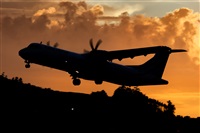 Javier de la Cruz - CANARY ISLANDS SPOTTING. Click to see full size photo
