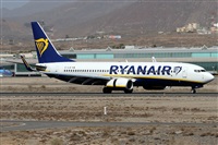 Alfonso Sols - Asociacin Canary Islands Spotting. Haz click para ampliar