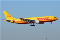 Miguel A. gueda Rguez.  (CANARY ISLANDS SPOTTING). Click to see full size photo