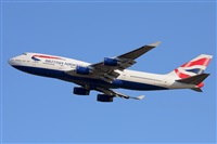 Miguel A. gueda Rguez.  (CANARY ISLANDS SPOTTING). Click to see full size photo