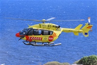 Miguel A. gueda Rguez.  (CANARY ISLANDS SPOTTING). Haz click para ampliar