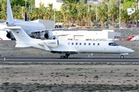 Miguel A. gueda Rguez.  (CANARY ISLANDS SPOTTING). Haz click para ampliar