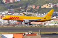 Miguel A. gueda Rguez.  (CANARY ISLANDS SPOTTING). Haz click para ampliar