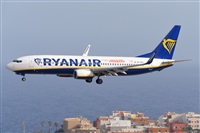 Miguel A. gueda Rguez.  (CANARY ISLANDS SPOTTING). Click to see full size photo