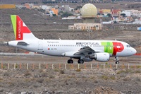 Miguel A. gueda Rguez.  (CANARY ISLANDS SPOTTING). Click to see full size photo