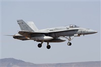 ©Luis Rguez - La Palma Spotting. Click to see full size photo ©Luis Rguez - La Palma Spotting. Click to see full size photo