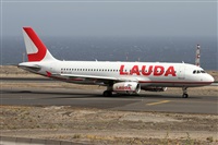©Alfonso Solís - Asociación Canary Islands Spotting. Click to see full size photo ©Alfonso Solís - Asociación Canary Islands Spotting. Click to see full size photo