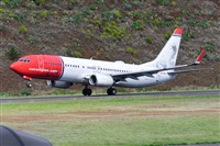 Miguel A. gueda Rguez.  (CANARY ISLANDS SPOTTING). Click to see full size photo