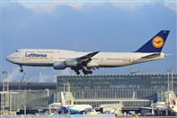 Miguel A. gueda Rguez.  (CANARY ISLANDS SPOTTING). Click to see full size photo