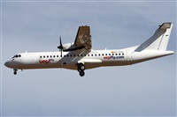 ©Alfonso Solís - Asociación Canary Islands Spotting. Click to see full size photo ©Alfonso Solís - Asociación Canary Islands Spotting. Click to see full size photo