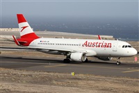 Alfonso Sols - Asociacin Canary Islands Spotting. Click to see full size photo