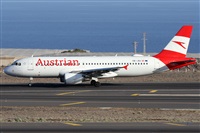 �Alfonso Sol�s - Asociaci�n Canary Islands Spotting. Click to see full size photo