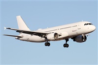 �Alfonso Sol�s - Asociaci�n Canary Islands Spotting. Click to see full size photo