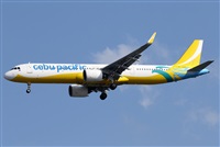 ©Javier Rodríguez. Click to see full size photo ©Javier Rodríguez. Click to see full size photo