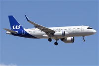 ©Román A. Pérez. Click to see full size photo ©Román A. Pérez. Click to see full size photo