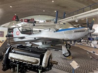 �Daniel Ferro. Click to see full size photo