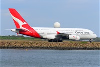 �Miguel A. �gueda Rguez.  (CANARY ISLANDS SPOTTING). Click to see full size photo