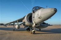©Manuel Acosta Zapata LMDT Spotters. Click to see full size photo ©Manuel Acosta Zapata LMDT Spotters. Click to see full size photo