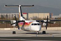 Jos Miguel Bernases - Noisy Spotters. Click to see full size photo