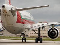 Carlos Moreira  *  PortugalSpotters.org. Click to see full size photo