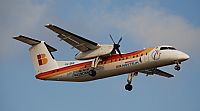 Rubn Gil - Noisy Spotters. Click to see full size photo