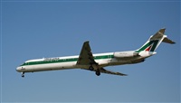Rubn Gil - Noisy Spotters. Click to see full size photo