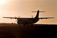 Javier de la Cruz - CANARY ISLANDS SPOTTING. Click to see full size photo