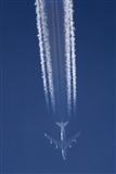 ©Javier González. Click to see full size photo ©Javier González. Click to see full size photo