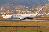 ©Javier de la Cruz - CANARY ISLANDS SPOTTING. Click to see full size photo ©Javier de la Cruz - CANARY ISLANDS SPOTTING. Click to see full size photo