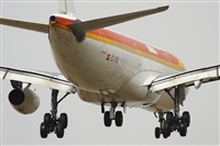 Javier G.M.. Click to see full size photo