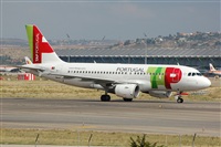 Chalo Canary Islands Spotting. Click to see full size photo