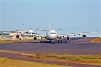 Miguel A. gueda Rguez.  (CANARY ISLANDS SPOTTING). Click to see full size photo