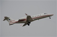 Rubn Gil - Noisy Spotters. Click to see full size photo