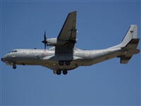 H.volar. Click to see full size photo